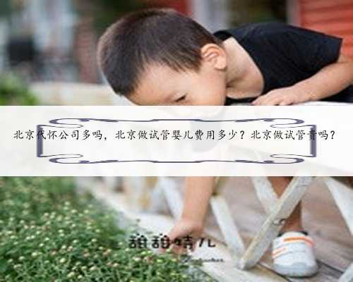 北京代怀公司多吗，北京做试管婴儿费用多少？北京做试管贵吗？