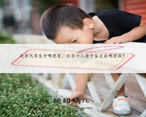 北京代孕生子哪里有，北京个人亲子鉴定在哪里做？