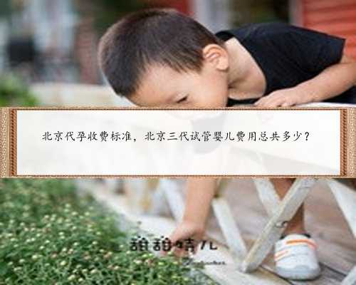 北京代孕收费标准，北京三代试管婴儿费用总共多少？