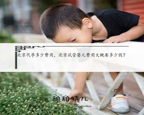 北京代孕多少费用，北京试管婴儿费用大概要多少钱？