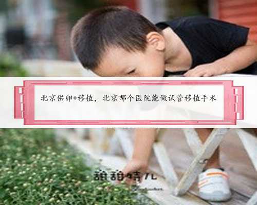 北京供卵 移植，北京哪个医院能做试管移植手术