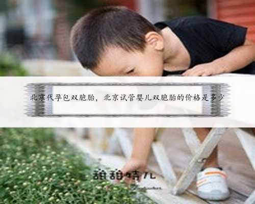 北京代孕包双胞胎，北京试管婴儿双胞胎的价格是多少