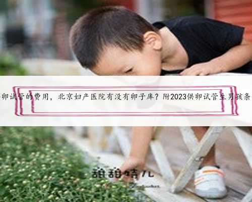 北京供卵试管的费用，北京妇产医院有没有卵子库？附2023供卵试管生男孩条件