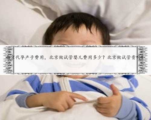 北京代孕产子费用，北京做试管婴儿费用多少？北京做试管贵吗？
