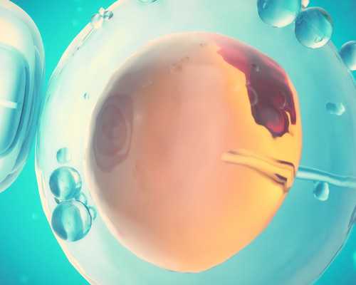 专注试管婴儿代孕,实验室有哪些方法可以分离x和y精子？