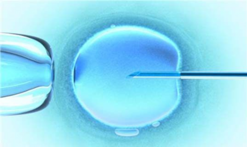 内蒙正规代孕网,郑大一附院做三代试管费用