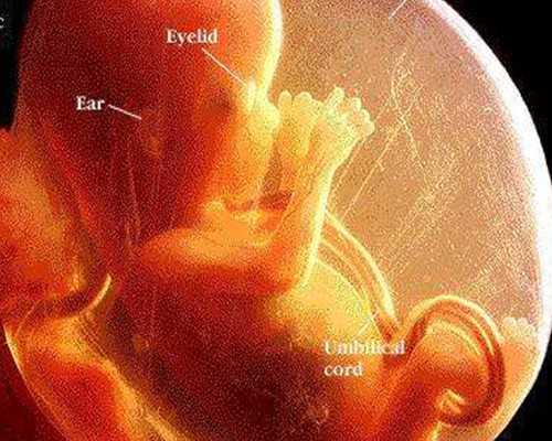 残角子宫患者怀孕期间需要注意些啥啊