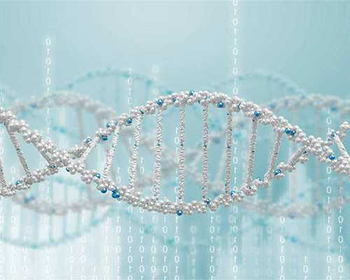 试管婴儿移植后为什么不着床 移植后为什么不着床是什么原因