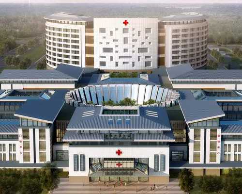 天价代孕(南方生殖谁做过试管),试管一般都是多少钱能成功？试管一般都是多少