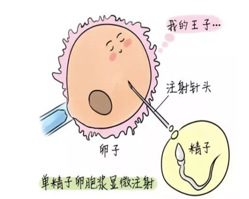 北京代生什么价格,北京率先将辅助生殖纳入医保，16项试管婴儿费用可报销