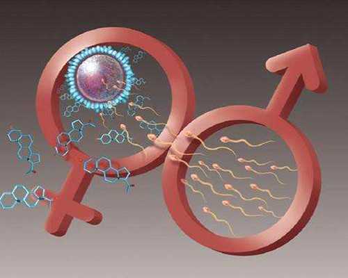 北京助孕哪家强,2026北京试管婴儿补贴政策公开，解释价格差异！