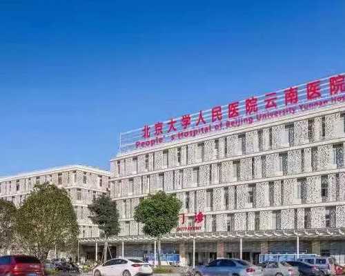 合肥正规代孕地址,试管两个胎儿早产怎么办