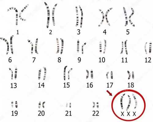 <b>备孕两个月都没怀上？注意这几点能大大提高受孕率</b>