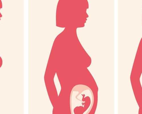 试管婴儿卵子是怎么取卵子