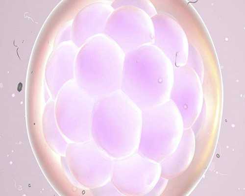 供卵产子公司-冻胚移植的成功率高吗？