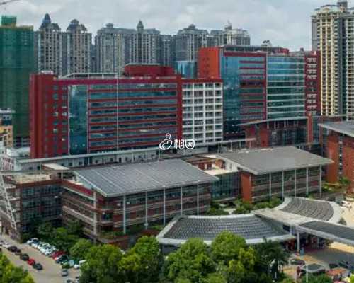 国内供卵贵吗_代孕女受孕方式,绝经后老公要求做试管-绝经后做试管婴儿可靠吗