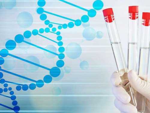 移植之后针灸利于胚胎着床吗?这些部位要把握