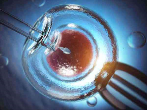 北京借卵包成功,北京301医院做一次 供-卵试管需要多少钱？