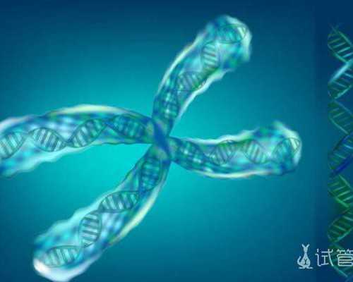 揭秘沈阳市妇婴医院三代试管成功率，移植鲜胚好孕率不低