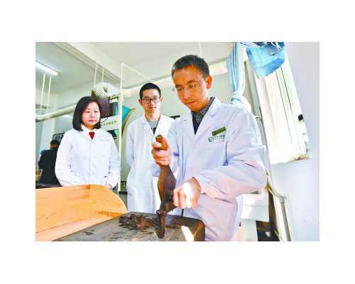 备孕指南|女性在备孕期间要注意什么？