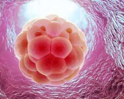 代孕包成功费用_代生包性别吗,做试管怀孕初期肚子疼正常吗？试管怀孕肚子疼