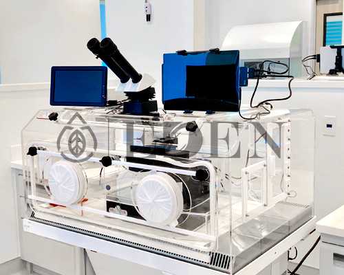 <b>黑龙江助孕机构排行榜，认准公立医院准没错</b>