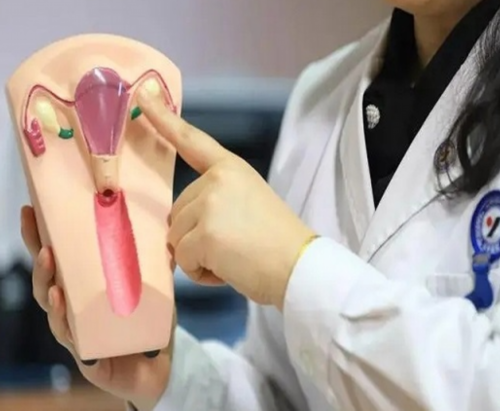 圆梦供卵吗_北大国际试管婴儿,洛阳哪里的试管成功率高？洛阳能做试管的三甲