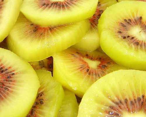 代生宝宝公司-楚雄哪里能做试管婴儿？成功率有多高？