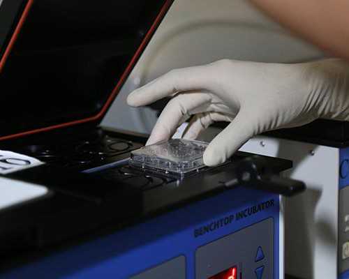 代孕最好的公司-排卵日基础体温最低吗