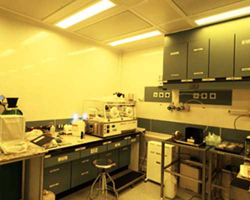 助孕哪家正规_精因代孕,小学几年级成绩定型了？