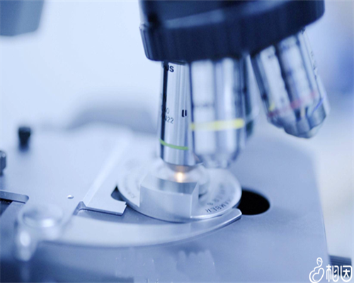 上海精子库在哪个医院？