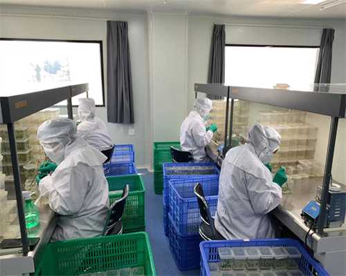 北京试管代生子包生男孩,北京301医院做试管婴儿费用要多少钱？十万费用够吗