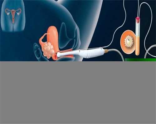 <b>新生儿的营养和需要量</b>