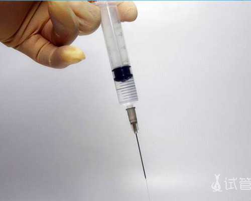 失独助孕-融合胚胎和8细胞相比哪个胚胎质量更好？