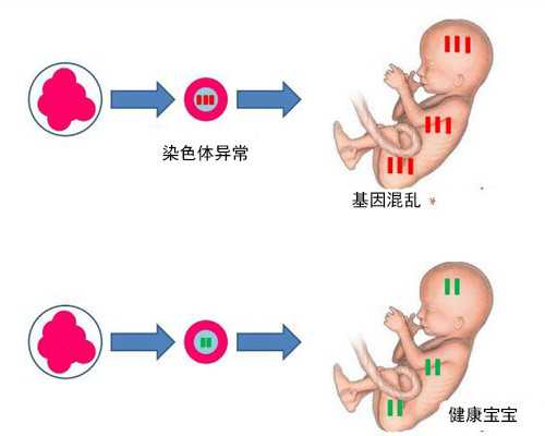武汉同济医院试管婴儿流程参考，解读从检查到好孕8步骤