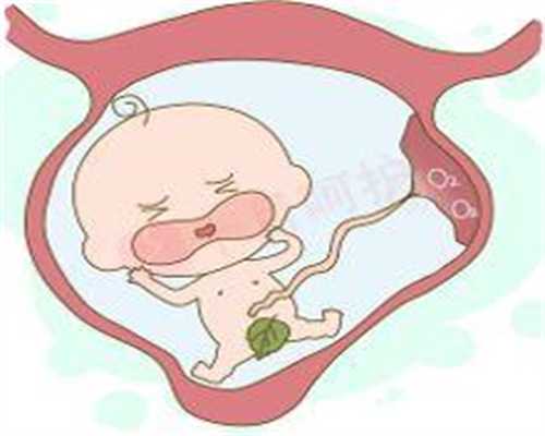 输卵管过长能不能怀孕~第三代试管可以选性别吗