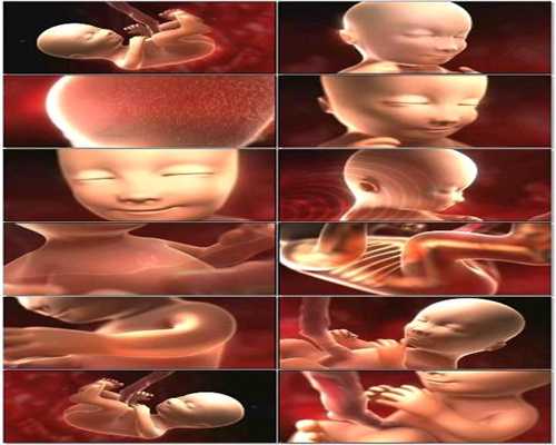 输卵管过长手术成功几率多大~国外代孕试管婴儿
