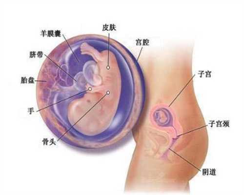 代妈助孕包成功-5步骤帮准妈妈有效预防早产