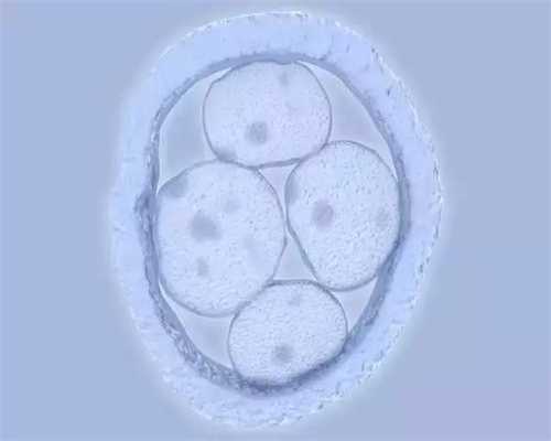 卵巢早衰供卵助孕可靠吗,哪里有供卵试管机构