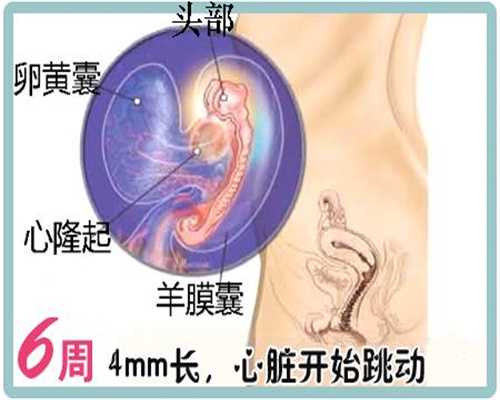 北京代孕电话,北京代孕包成功费用,新生儿黄疸不必中断哺乳