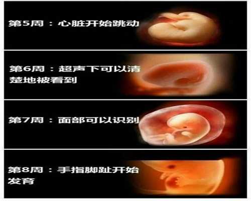 北京代孕包成功费用,北京供卵代孕网,五个月的代孕代孕宝宝能吃旺仔小馒头吗