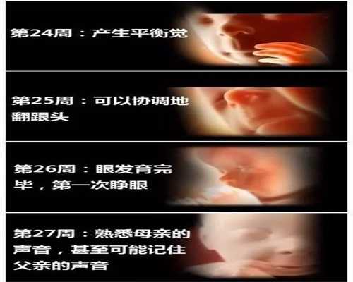 北京代孕包成功费用,北京供卵代孕网,五个月的代孕代孕宝宝能吃旺仔小馒头吗
