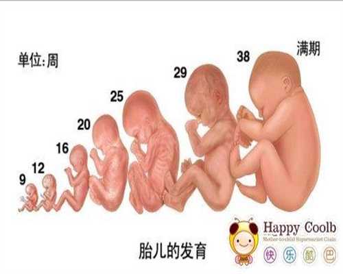 北京代孕_北京代孕妈妈哪里有_北京那里有做代孕的