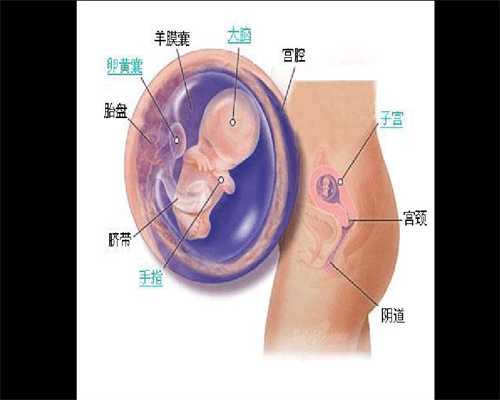 北京代孕~北京中国代孕中心~北京代孕生子靠谱机构
