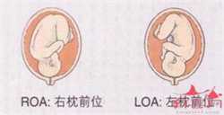 广州哪些医院可以做供卵试管婴儿